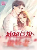 《神秘总裁傲娇妻》小说封面