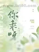 《你乖呀》小说封面