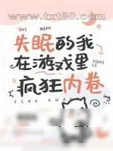 《失眠的我在游戏里疯狂内卷》小说封面