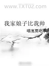《我家娘子比我帅》小说封面