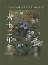 《六十二年冬》小说封面