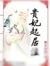 《贵妃起居注》小说封面