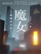 《赛博时代的魔女》小说封面