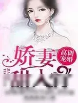 《高调宠婚:二婚娇妻甜入骨》小说封面