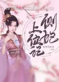 《侧妃上位记》小说封面