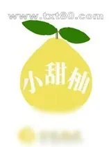 《小甜柚》小说封面