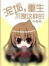 《泥垢，重生不是这样的》小说封面