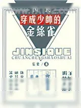 《穿成少帅的金丝雀》小说封面