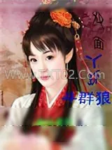 《双面丫环斗群狼》小说封面