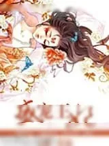 《盛宠王妃》小说封面