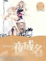 《一夜成名》小说封面