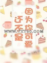 《还不是因为你可爱呀》小说封面