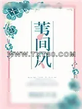 《苇间风》小说封面