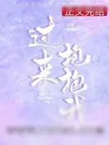 《过来抱抱我》小说封面