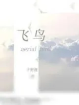 《飞鸟》小说封面