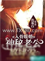 《入骨暖婚：神秘老公放肆爱》小说封面