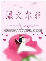 《温文尔雅》小说封面