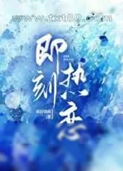 《即刻热恋》小说封面
