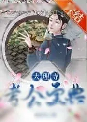 《大理寺考公宝典》小说封面