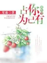 《重生之占你为己有》小说封面