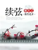 《重生之续弦》小说封面