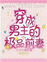 《穿成男主的极品前妻》小说封面