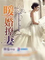 《暖婚撩妻》小说封面