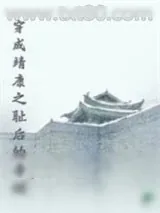《穿成靖康之耻后的帝姬》小说封面