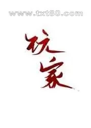 《玩家》小说封面