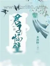 《君子怀璧》小说封面