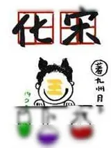 《化宋》小说封面