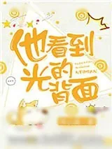 《他看到光的背面》小说封面