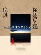 《你是夏夜晚风》小说封面