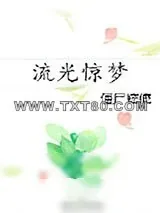 《流光惊梦》小说封面