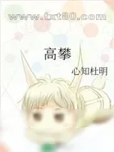 《高攀》小说封面