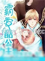 《霸爱酷公主》小说封面