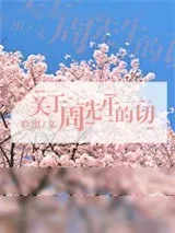 《关于周先生的一切》小说封面