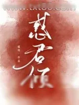 《惑君倾》小说封面