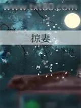 《掠妻》小说封面