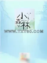 《小森林》小说封面
