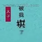 《太子失忆后被我拱了》小说封面