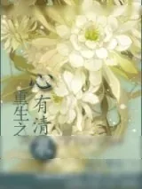 《重生之心有清泉》小说封面