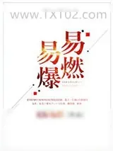 《易燃易爆》小说封面