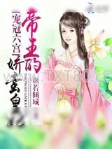 《宠冠六宫：帝王的娇蛮皇妃》小说封面