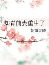 《知青前妻重生了》小说封面