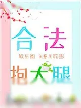 《合法抱大腿[娱乐圈]》小说封面