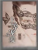 《上等宠爱》小说封面