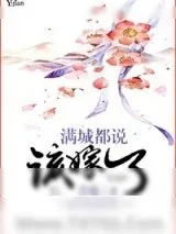 《满城都说该嫁了》小说封面