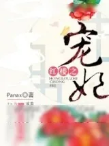 《红楼之宠妃》小说封面