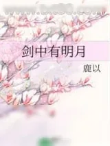 《剑中有明月》小说封面